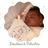 Photodecollection Doudous peluches