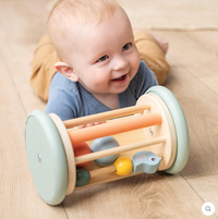 Rolling activity mirror - birdee - colour mix