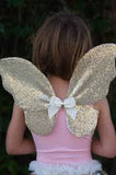 Set papillon sequin doré, jupe, ailes et baguette 4-6 ans